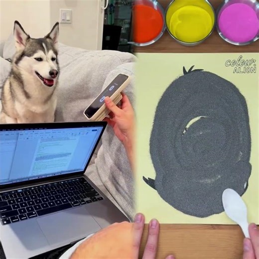 Using the dogtok translator app to see if she understands and clearly she did 🤣🤣 #dog #funnydog