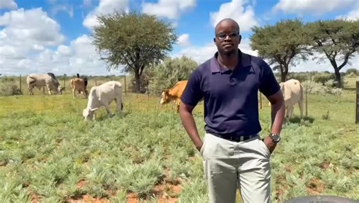 Animal Identification Methods in South Africa