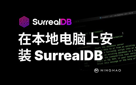 宁皓网__SurrealDB__01：在本地电脑上安装 SurrealDB