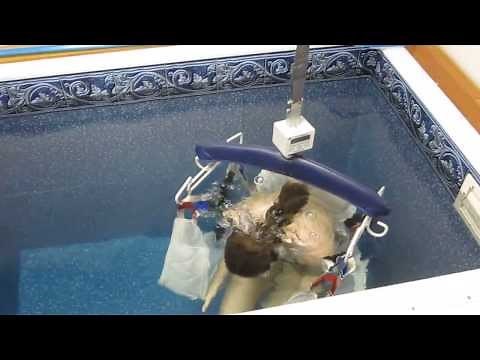 Hydrodensitometry or Hydrostatic Weighing