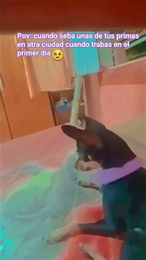 mi prima se me fueeee