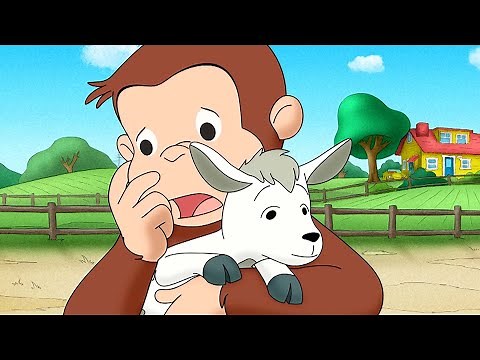 Jorge y los chivos bebé | Jorge El Curioso En Español