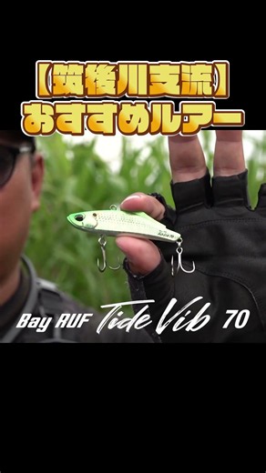 The Shinohara brothers' picks for lures to conquer the Chikugo River #fishing