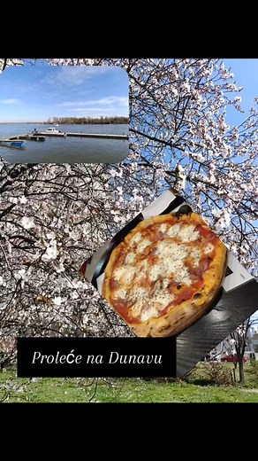 Suzana Petrović Jovanović on Reels