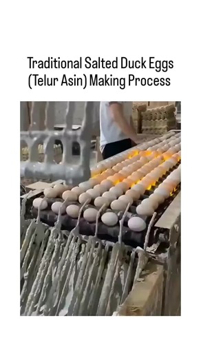 for fun 😊 on Instagram: "The post features a viral video demonstrating the traditional production of salted duck eggs (telur asin), where fresh eggs are coated in a thick clay-salt paste that resembles cement, then dried and cured for 3-4 weeks to infuse flavor and preserve them. This method, rooted in Asian culinary practices, draws from peer-reviewed food science studies showing the alkaline coating prevents spoilage while enhancing yolk color and saltiness, contrasting modern factory egg pro
