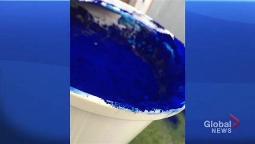 Backyard pool poisoning terrifies family