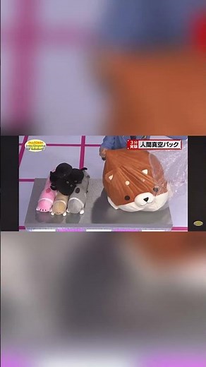 でんじろう先生の本気とは...