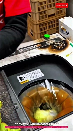 automatic vegetable wrapping machine for lettuce and leafy greens 150–400 g packs high speed