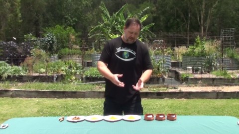 How to Make Turmeric Powder 4 Ways - Skin On, Peeled, Raw & Fingers