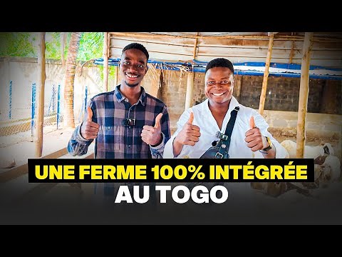 🐑 Syefarm Togo: the perfect model of livestock farming and integrated agriculture.