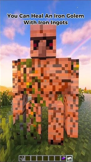 Iron Golem Secret REVEALED🤫