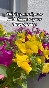 2.4K views · 31 reactions | These are elevated window boxes we got...