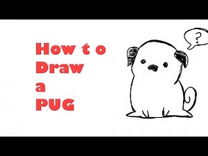 how to draw a pug