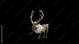 3D Animated Reindeer Talking And Blabbering Non Stop With Various Gesture And Posture With Legs And Hooves with Alpha Channel