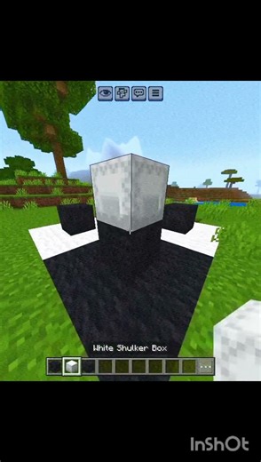 Minecraft shulker box illusion