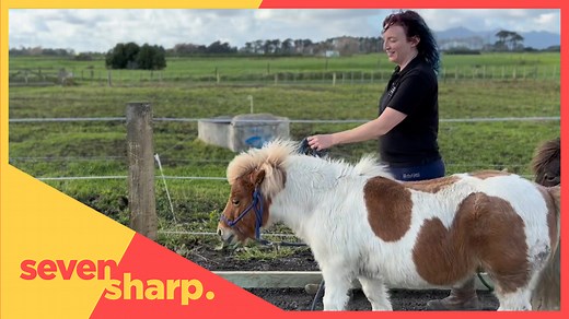 Horses Helping Humans is empowering vulnerable youth in Taranaki to learn skills to cope with anxiety, low self-esteem and stress. | Seven Sharp