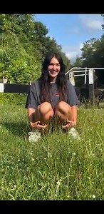 Powder Mouse on Reels