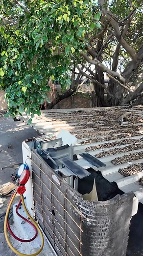 Sin comentarios 🤣 Créditos al creador #Refrigerante #Minisplit #Climas #refrigeracion | Refaclim