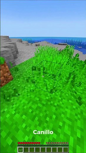 Youtube Shorts Phonk Edit 💀 - Minecraft Mod