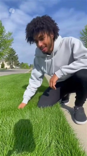 How to Touch Grass (Step by Step)