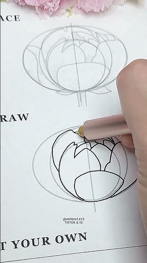 How I draw a Peony #flowers #drawing