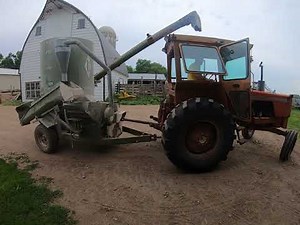 grinding corn, cattle feed