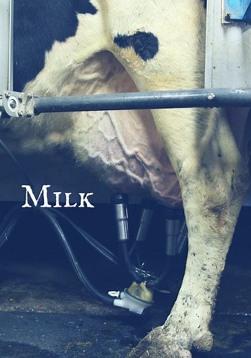 Milk - movie: where to watch stream online