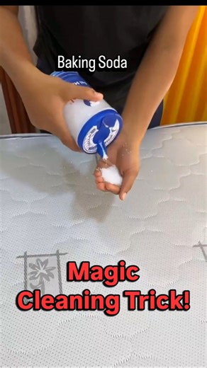 Dirty Mattress Cleaning – Satisfying Deep Clean! 😲”