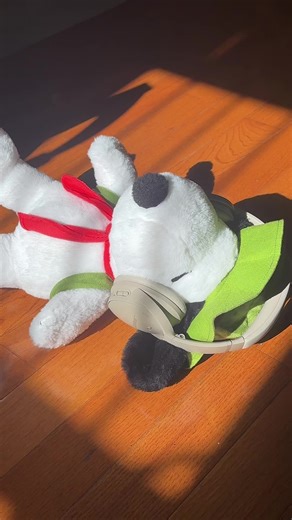 Snoopy Explores The Mystery Lights Concept