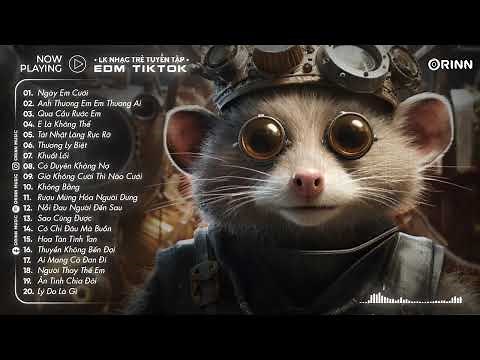 Nhạc Remix TikTok 2024 - BXH Nhạc Trẻ Remix Mới Hay Nhất Hiện Nay - EDM TikTok Hay 2024 Orinn Remix
