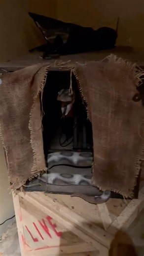 Will you survive Anaconda at Howl-O-Scream Williamsburg? #howloscream #buschgardens
