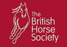 New BHS certificate for riding school helpers - Horse & Hound