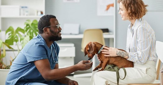 5 tips for improving communication in your veterinary practice | Vet Radar