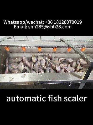 Automatic fish scaler seafood processing machine fish scale removing machine food machinery