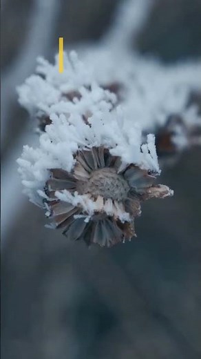 What are Phase Changes? #chemistry