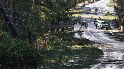 Heavy winds leave over 67K without power in Sammamish, surrounding areas