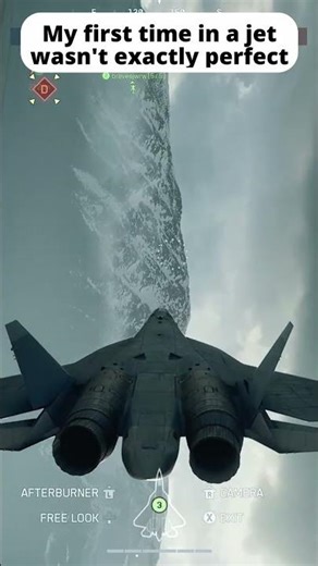 I will leave the Jet for ace combat pros from now on