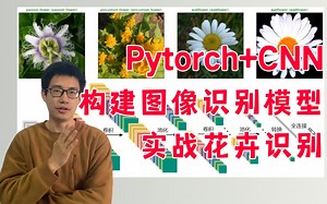 怎样从零完成一个基于Pytorch框架的深度学习视觉项目？迪哥手把手带你使用Pytorch CNN构建图像识别模型！