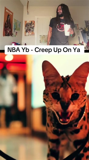 I’m a silver back 🦍 #yb