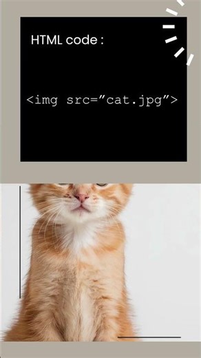 How to Resize Images Using Width & Height in HTML