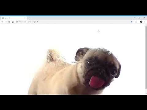 13 Minutes of A Pug licking your screen You're welcome.
