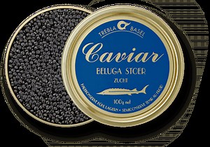 Beluga caviar - Alchetron, The Free Social Encyclopedia