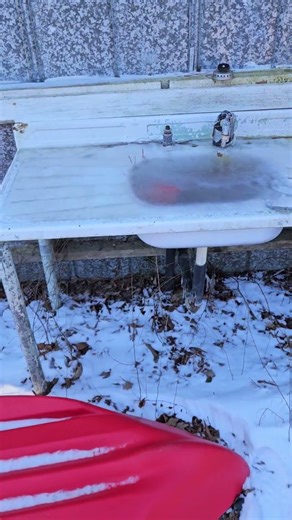 Do the Polar Valves Work?