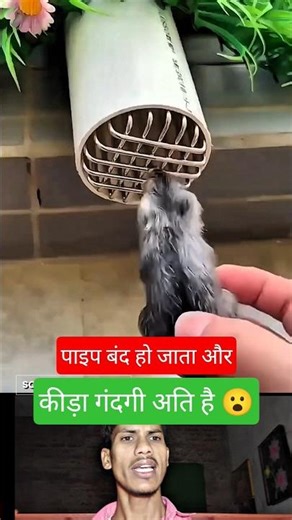 Stainless Steel Gutter Guard Strainer | Roof Drain Cover #shorts #drain #steel