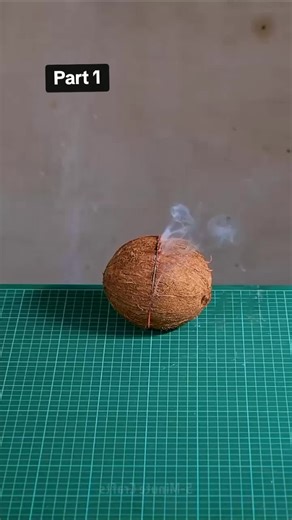 Addressing TikTok Video Review Issues