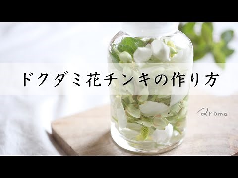 【ドクダミ花チンキの作り方】化粧水や虫除けスプレーに