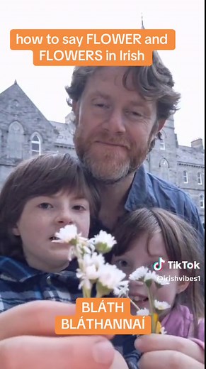 How to Say Flower and Flowers in Irish - Irish Language Pronunciation Guide