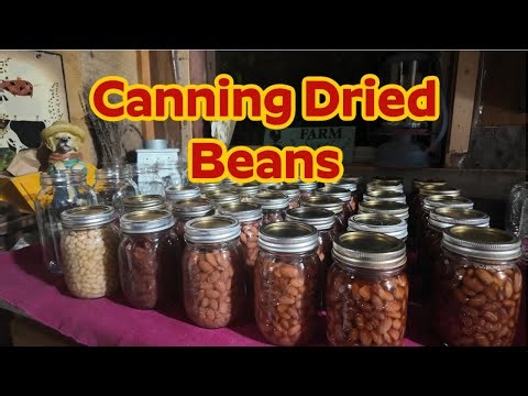 Canning Dried Beans | Easy Step-by-Step Guide to Pressure Canning