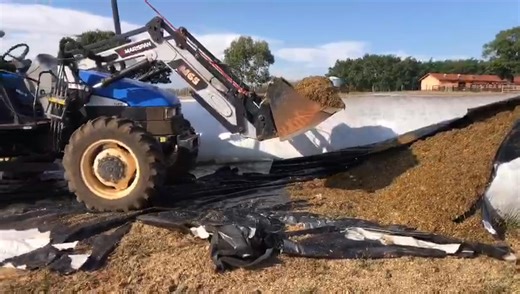 72 reactions | Do you think it’s hard to ensile sugarcane?  Here’s perfectly preserved silage in a grain bag with JF Silomaster, straight to the JF Mix 4000 mixer. ⚡ | Jfmachineryenglish | Facebook