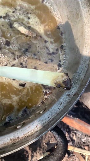 Beeswax Recycling 🐝 | From Hive to Reuse
